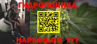 mix Кингисепп