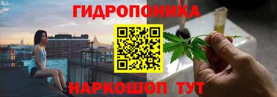 кокс Кинель