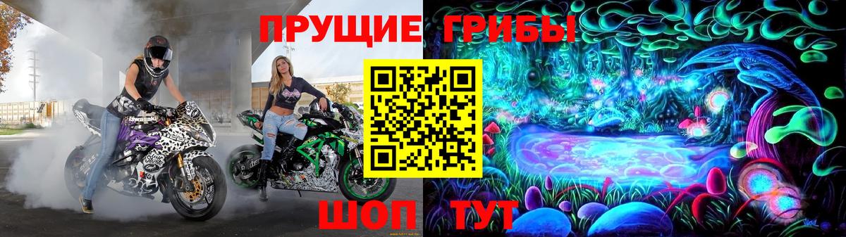 Галлюциногенные грибы Psilocybe Гусев