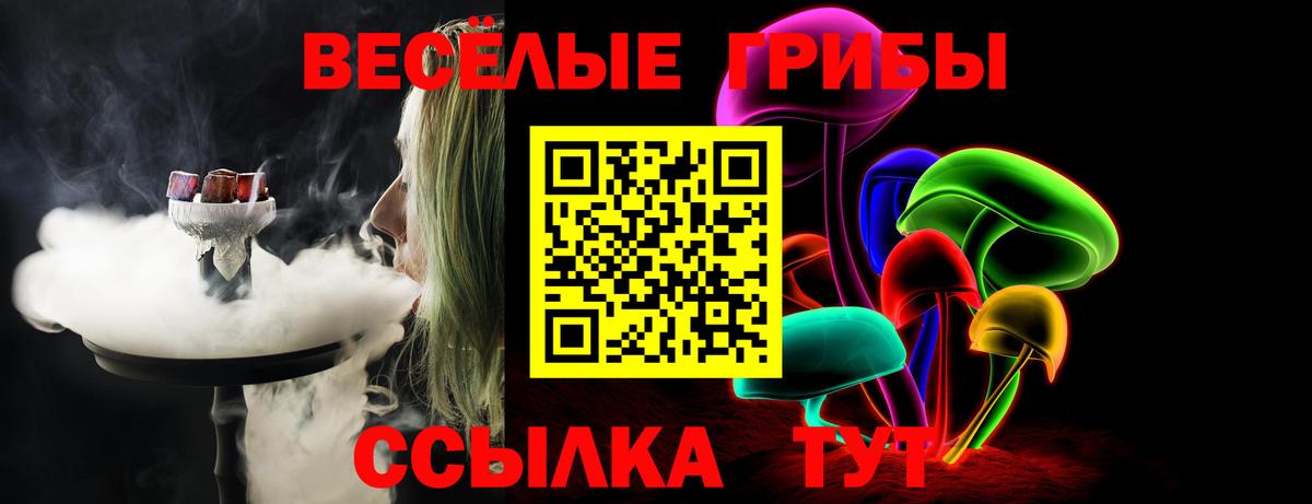 Гусев  Псилоцибиновые грибы ЛСД  Псилоцибиновые грибы MAGIC MUSHROOMS  Вход с VPN 